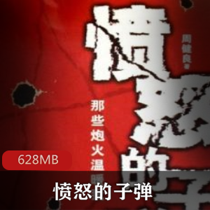 佟大为电视剧（愤怒的子弹）有声小说