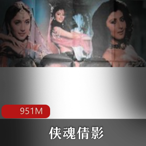 （侠魂倩影）在线观看