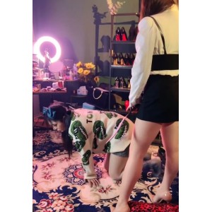 三三套路直播伪娘S狠榨M视频1部415MB超带感